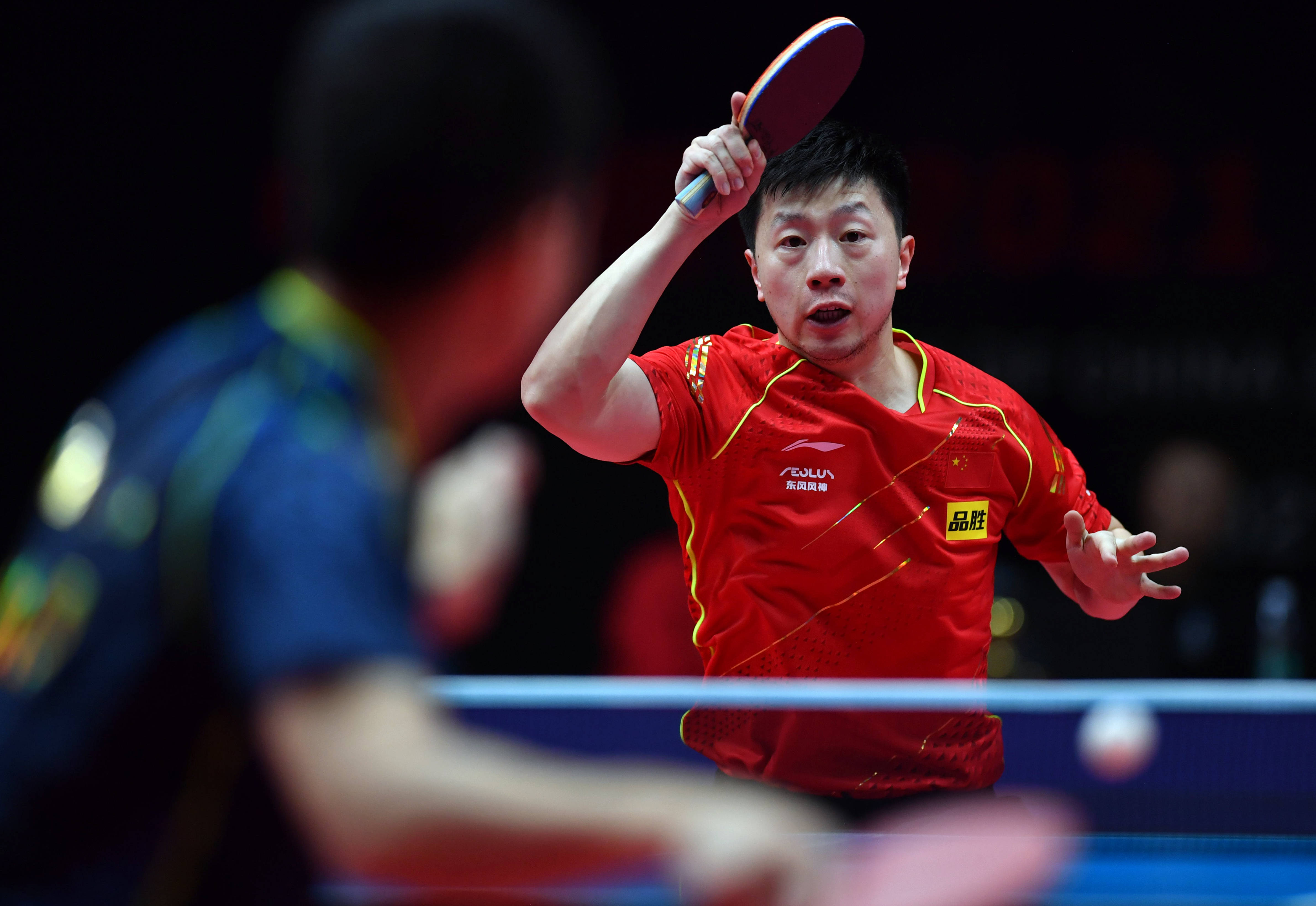 府区迎来了 府区迎来了