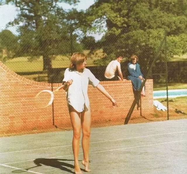 全新板块 全新板块